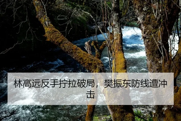 林高远反手拧拉破局，樊振东防线遭冲击