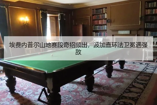 ai-fei-nei-pu-er-shan-di-sai-duan-qi-zhao-pin-chu-bo-jia-cha-huan-fa-wei-mian-yu-qiang-di-2-880.jpg