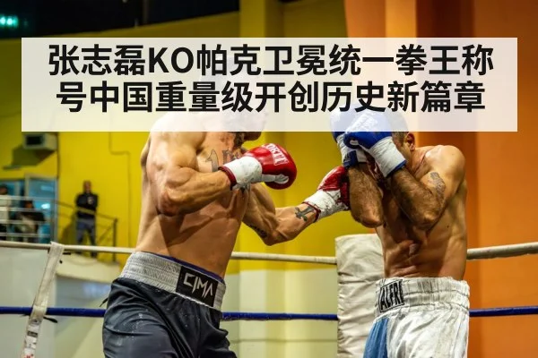 heavyweight boxing fight